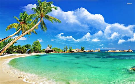 tropical beach wallpapers top free tropical beach backgrounds wallpaperaccess