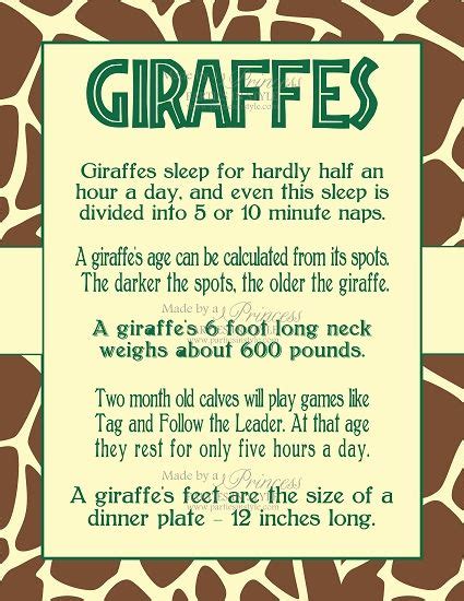 Baby Giraffe Giraffe Facts Giraffe Baby Giraffe