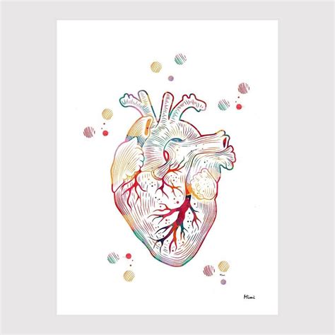 Anatomy Drawing Anatomy Art Human Anatomy Male Figure Drawing Heart