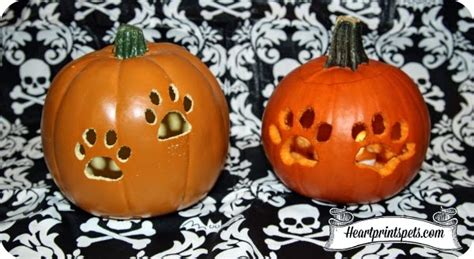 Artificial And Real Paw Print Carved Pumpkins Heartprints Pets