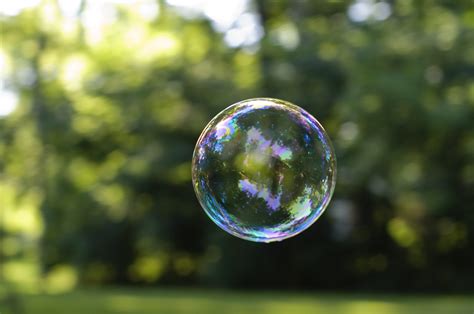 Trend Forecasting to Predict the Next Bubble Burst | VantagePoint