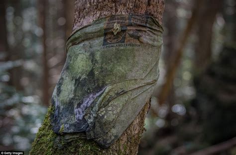 Haunting Images From Inside Japans Suicide Forest Daily