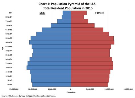 Americas Age Profile Told Through Population Pyramids