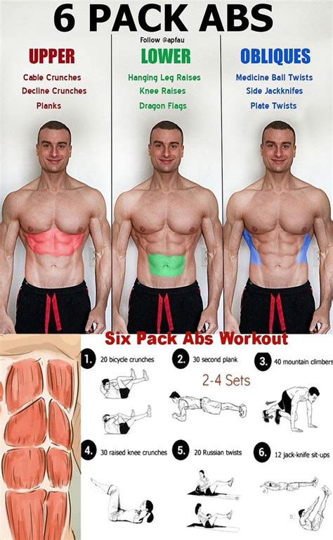 Abdominal Exercises Abs And Cardio Workout Abs Workout Gym Ab