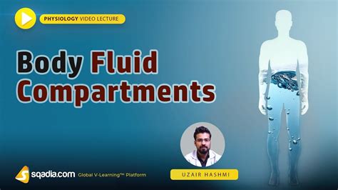 Body Fluid Compartments Medical Student Lectures Online Physiology