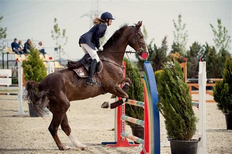 Equestrian Horse Rider Jumpingpicture Showing A Competitor Performing