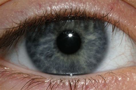 Blue Eye Childs Blue Eye Jenn Durfey Flickr
