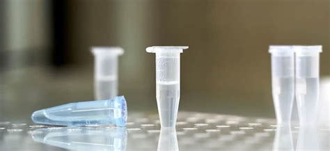 Mycoscience Preservative Efficacy Testing Vs Microbiology Testing