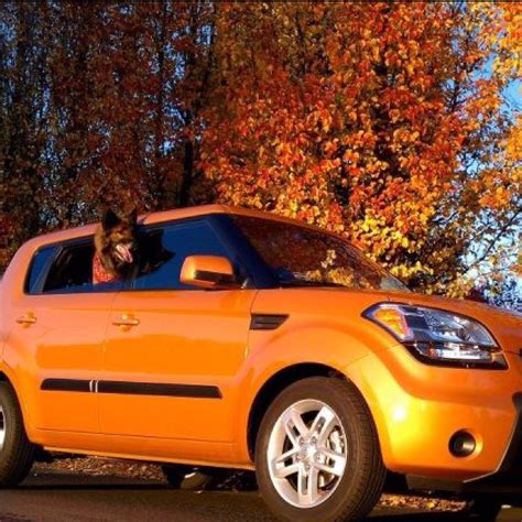 1000 Images About Kia Hamster Soul On Pinterest