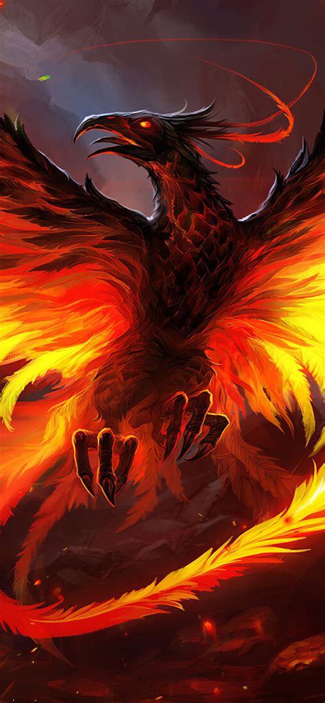 Phoenix A Firebird Wallpapers Hd Desktop And Mobile B Vrogue Co