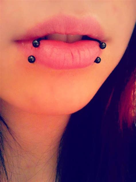 Feeling bold and want piercings that stay front and center? Snake bites piercings | Lip piercing jewelry, Lip piercing ...