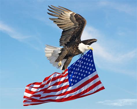 Eagle Flying American Flag By Xybutterfly On Deviantart