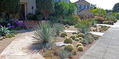 Sustainable Cacti And Succulent Garden