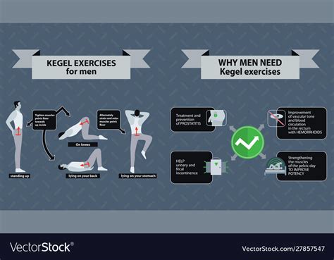 Pelvic Floor Exercises For Men Kegel Gymnastics Vector Image