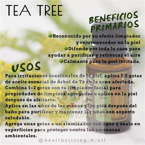 T E A T R E E Tea Tree Melaleuca Dōterra Aceites Esenciales