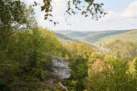 The Minister Creek Trail Overlook In Allegheny National Park In The