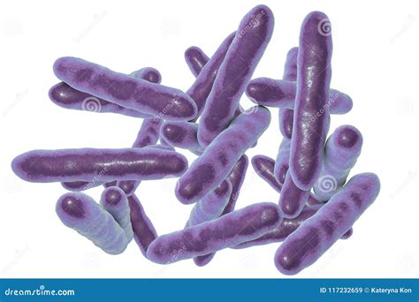 Tropheryma Whipplei Bacteria The Causative Organism Of Whipple`s