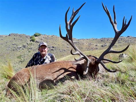 Argentina Red Stag Special Junejuly 2 Hunters