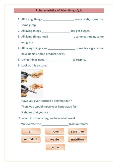 Download worksheets on characteristics of a living organisms. 7 characteristics of living things worksheet