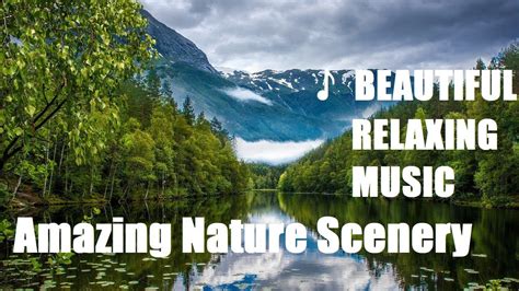 Beautiful Relaxing Music And Amazing Nature Scenery Serene Piano