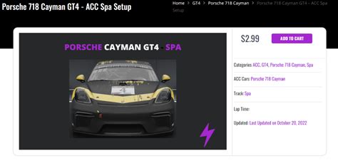 Acc Porsche Cayman Gt Spa Setup