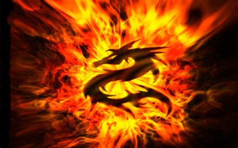 Amazing Fire Dragon Wallpapers Top Free Amazing Fire Dragon
