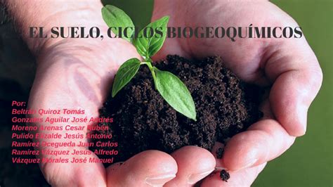 Ciclos Biogeoquímicos Del Suelo By Juan Carlos Ramirez Ocegueda