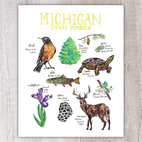Michigan State Symbols Brush And Bark