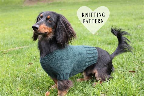 Knitting Pattern Mini Dachshund Dog Sweater Cloud 9 Pet Etsy