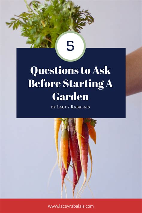 Five Questions To Ask Before Starting A Garden Starting A Garden