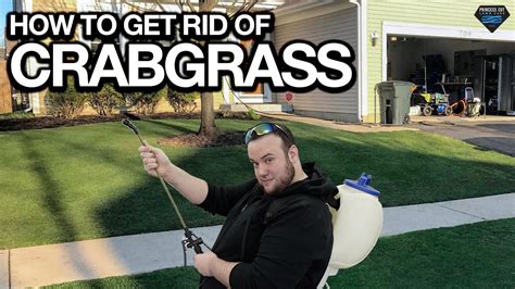 How To Get Rid Of Crabgrass So It Doesnt Come Back Easy Diy Youtube