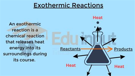 Exothermic Reactions Characteristics Identification And Examples
