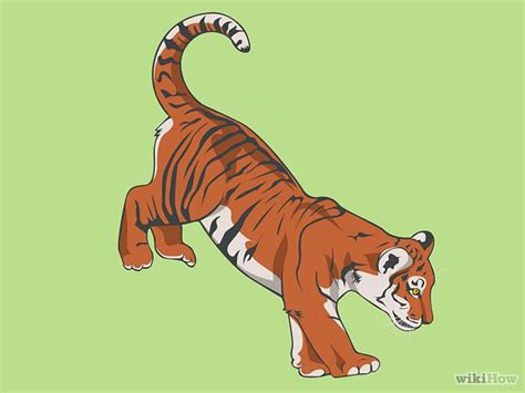 How To Draw A Baby Tiger Baby Tiger Cat Crafts Draw