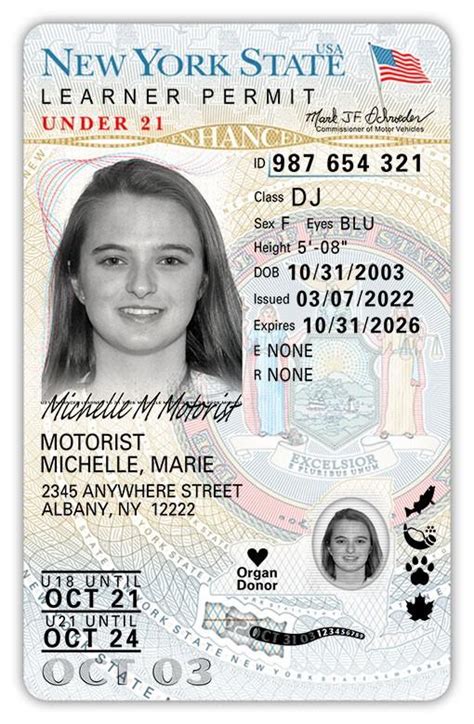 Dmv To Release Redesigned Driver License Non Driver Id Featuring