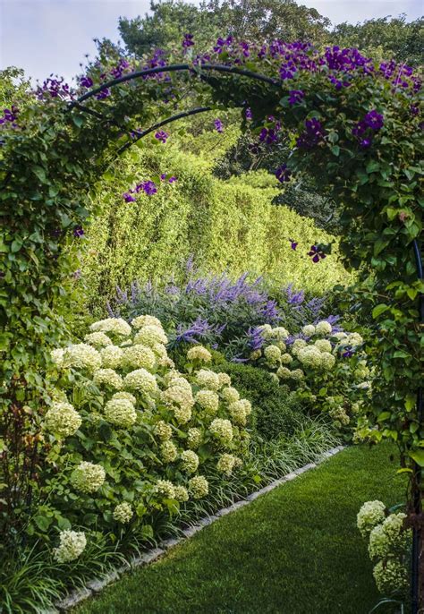 Hydrangea Landscape Ideas To Create A Dreamy Garden Top Dreamer