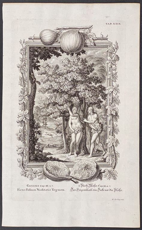 Lot Scheuchzer Adam And Eve Dressing In Fig Leaves In Garden Of Eden