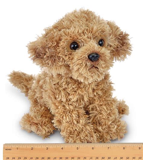 A mixture of two or more breeds (or, various other combinations of the poodle, the labrador retriever and the golden retriever), the double doodle is a cross between two more cross doodles. Poodle Doodle Keto : The Miniature Golden Doodle Is The ...