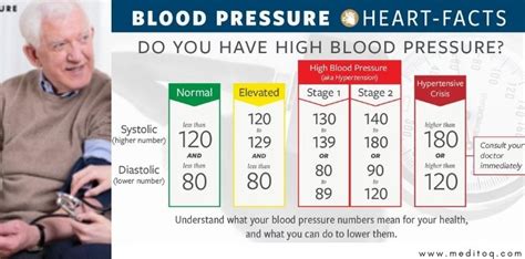 Blood Pressure Chart By Age And Gender Meditoq