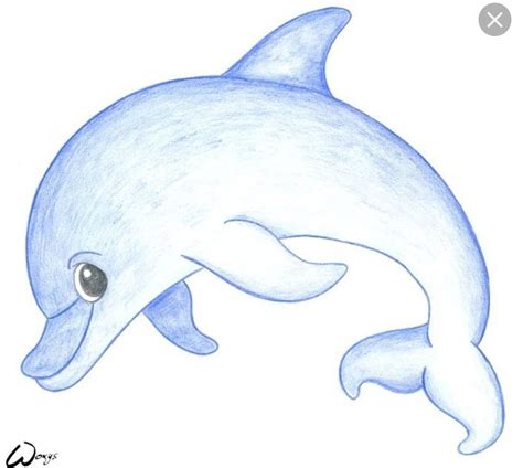 How To Draw A Bottlenose Dolphin Easy