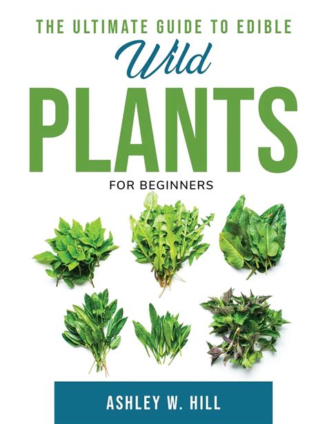 The Ultimate Guide To Edible Wild Plants For Beginners By Ashley W