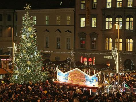Vyberte Vánoční Strom Pro Náměstí Svobody V Brně Brněnský Deník