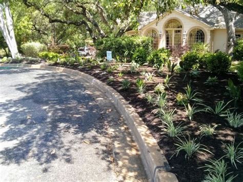 Shade Plants For Central Texas Lisas Landscape And Design