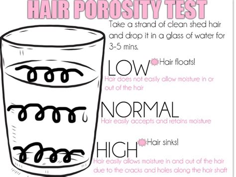 Want To Know Your Porosity And Maintain Your Hair Type Look At Her Hair