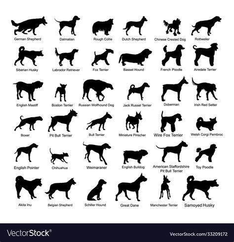 Large Dog Breed Collection Silhouette Royalty Free Vector