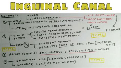 An inguinal hernia (ih) is an abnormal protrusion of intraabdominal contents through the inguinal canal. Inguinal Canal - 3, Boundaries - YouTube