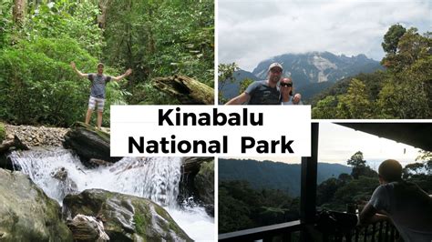 The park is dominated by mount kinabalu, one of the highest peaks in southeast asia at 4,095 metres. Kinabalu National Park | Sabah, Borneo | Ep. 2 - YouTube