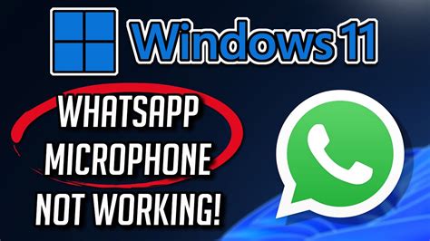 Whatsapp Microphone Not Working Windows 1110 Fix Youtube