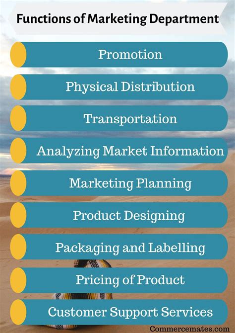 Functions Of Marketing Department In Business With Pdf