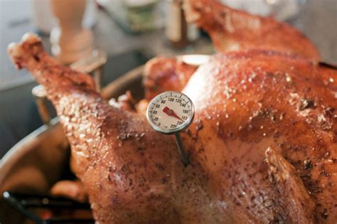 Where Should Thermometer Be Placed In Turkey Gobbling Turkey Timer