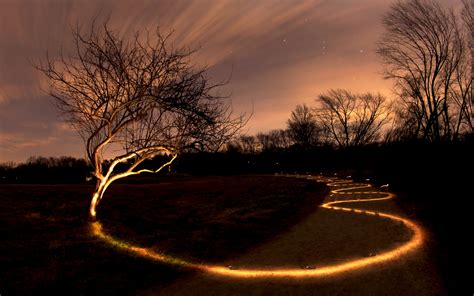 Tree Light Painting Night Path Trail Hd Wallpaper Nature And